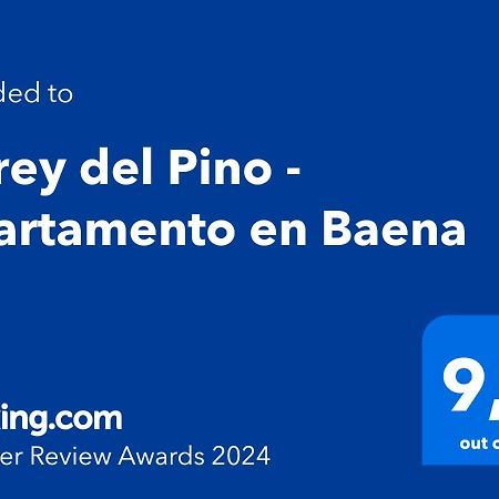 Virrey Del Pino - Apartamento En Баэна Экстерьер фото
